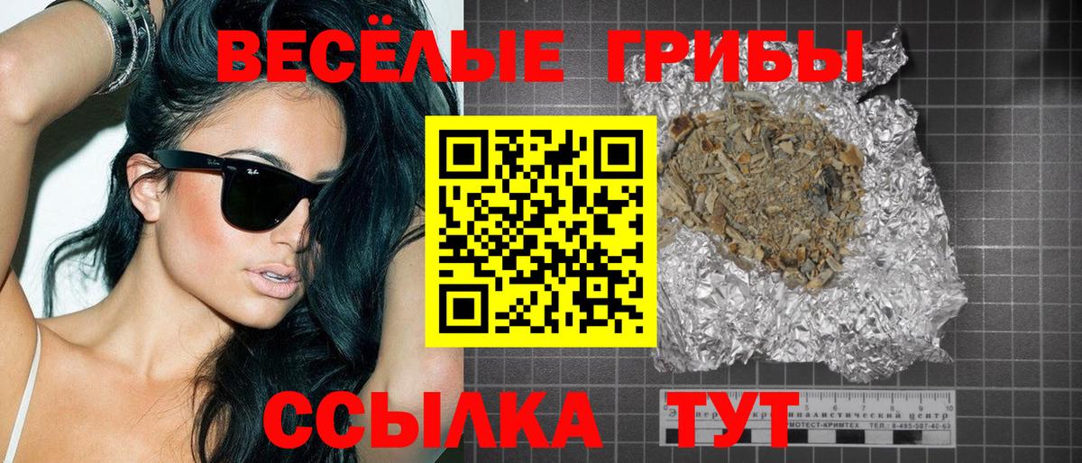 где продают наркотики  Вход с VPN  Оренбург  Галлюциногенные грибы мицелий 