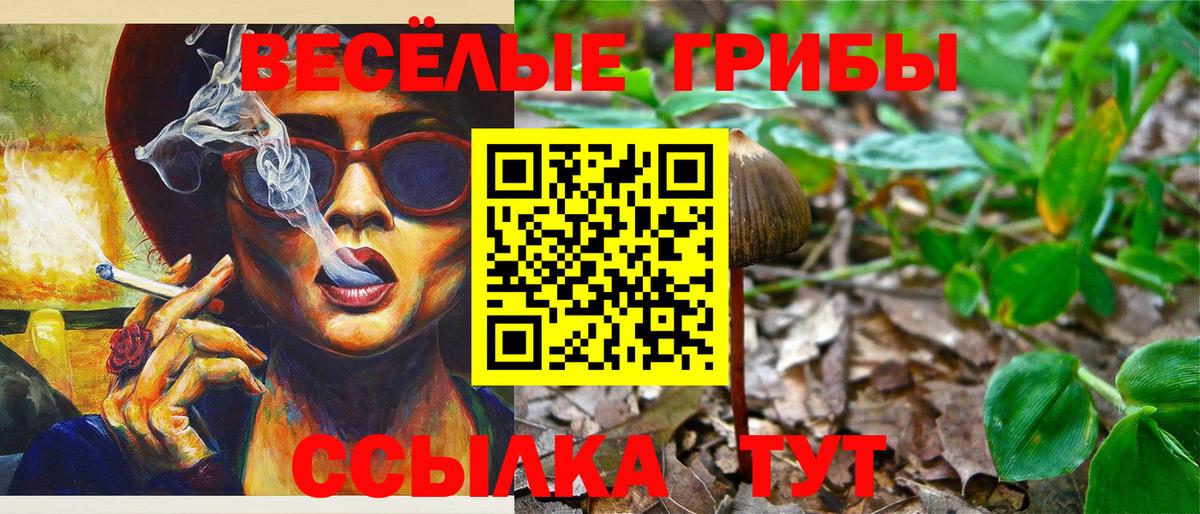Псилоцибиновые грибы Psilocybe Оренбург